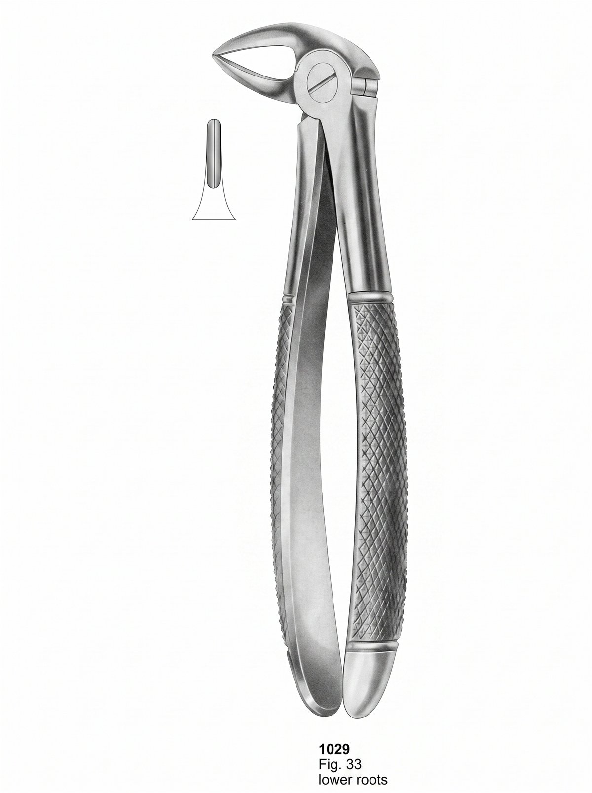 Sirgikal Extracting forceps English Pattern