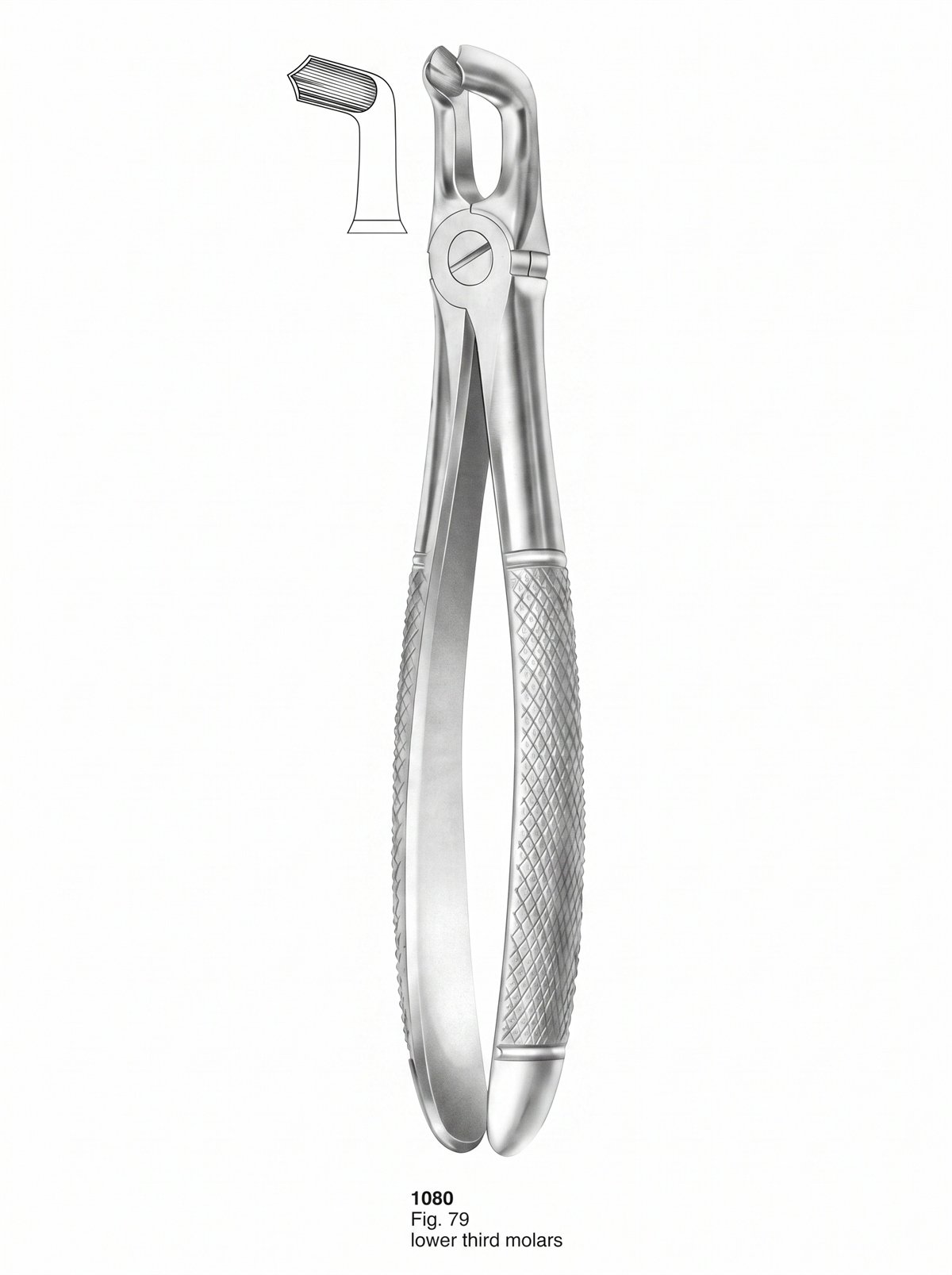 Sirgikal Extracting forceps English Pattern