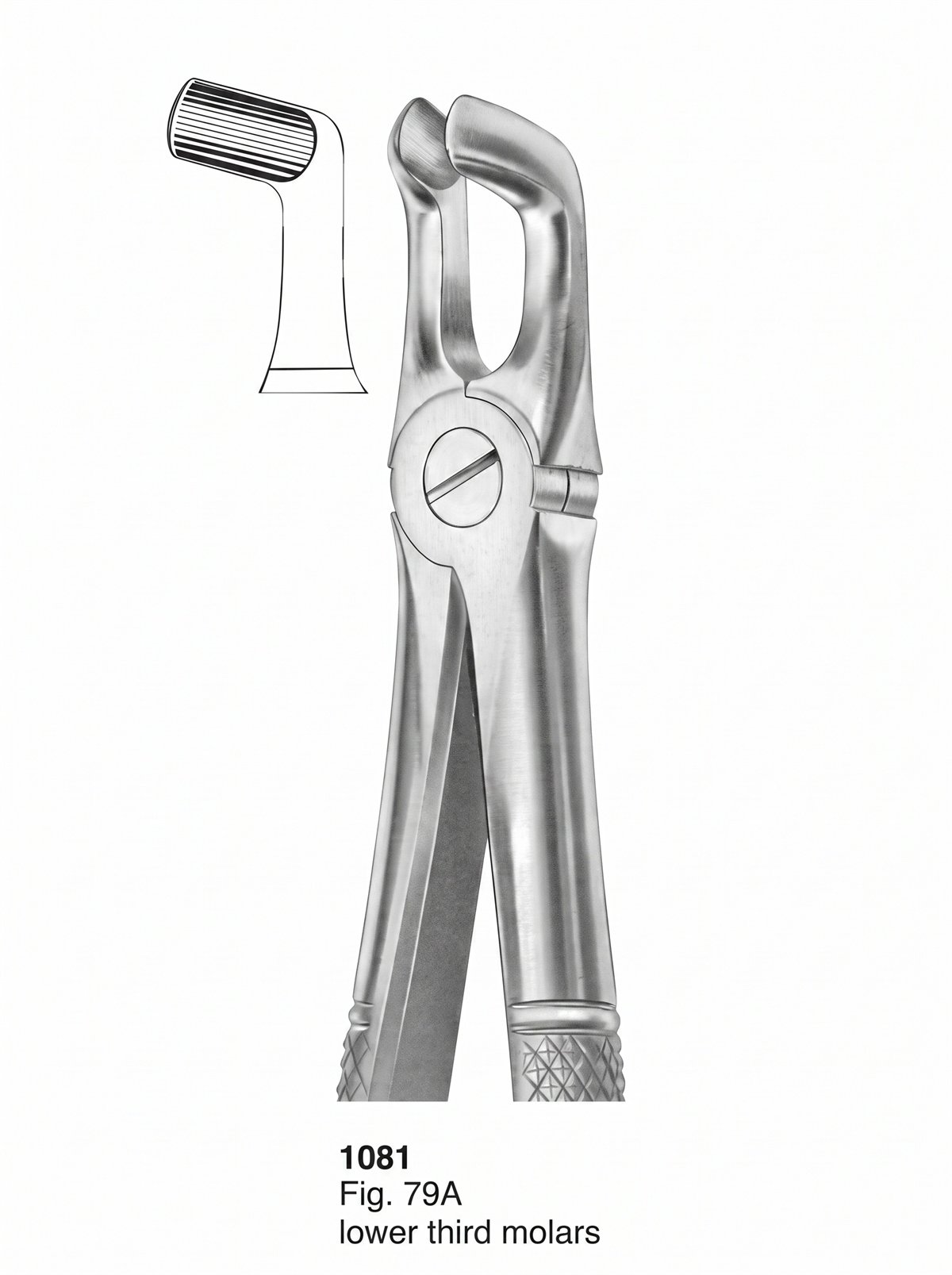 Sirgikal Extracting forceps English Pattern