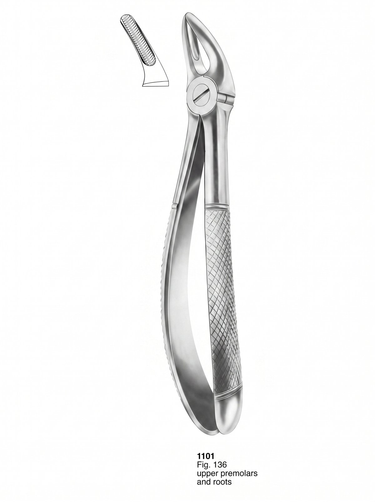 Sirgikal Extracting forceps English Pattern