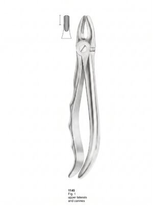 Sirgikal Extracting Forceps With Fitting Handle
