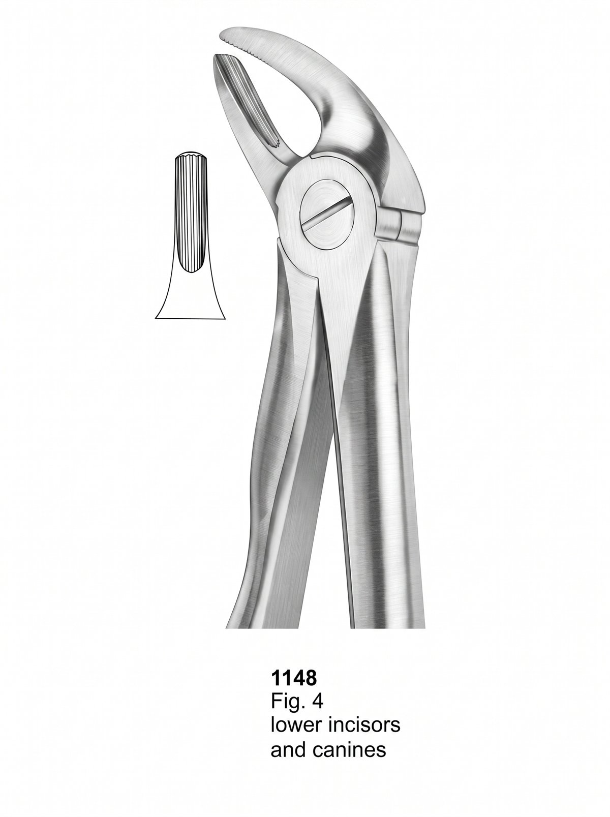 Sirgikal Extracting Forceps With Fitting Handle