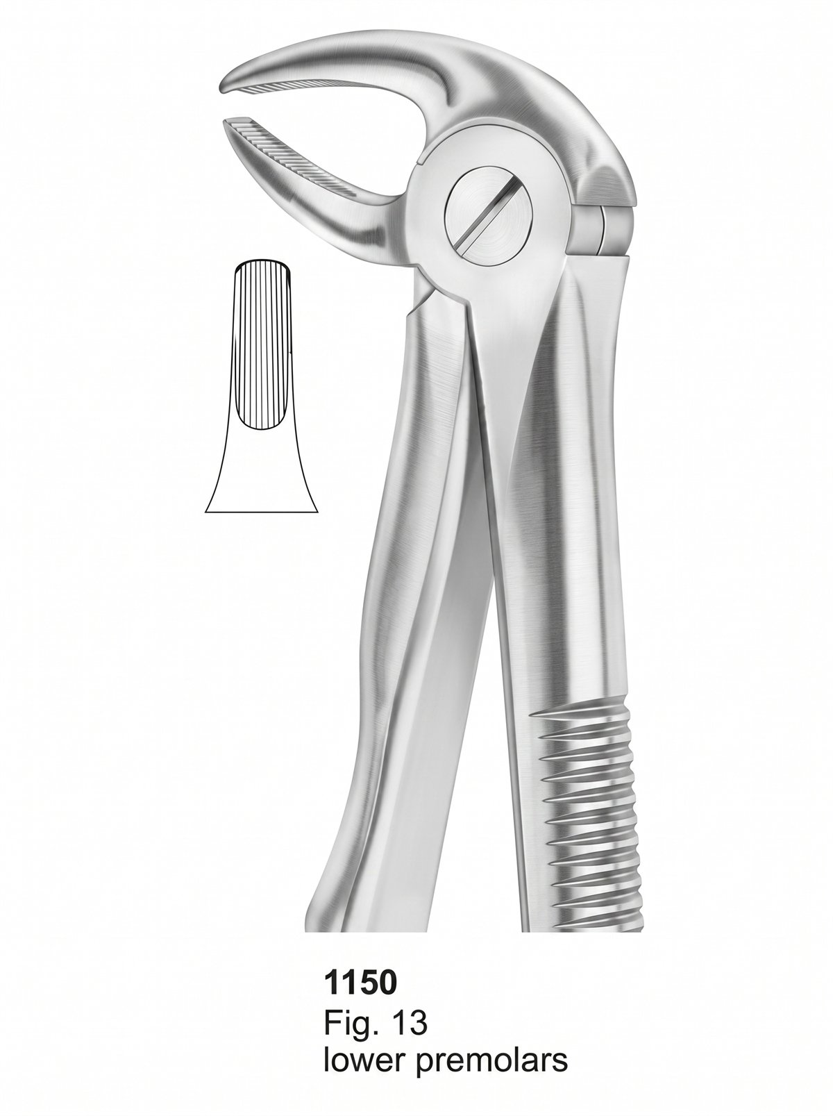 Sirgikal Extracting Forceps With Fitting Handle