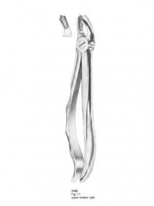 Sirgikal Extracting Forceps With Fitting Handle
