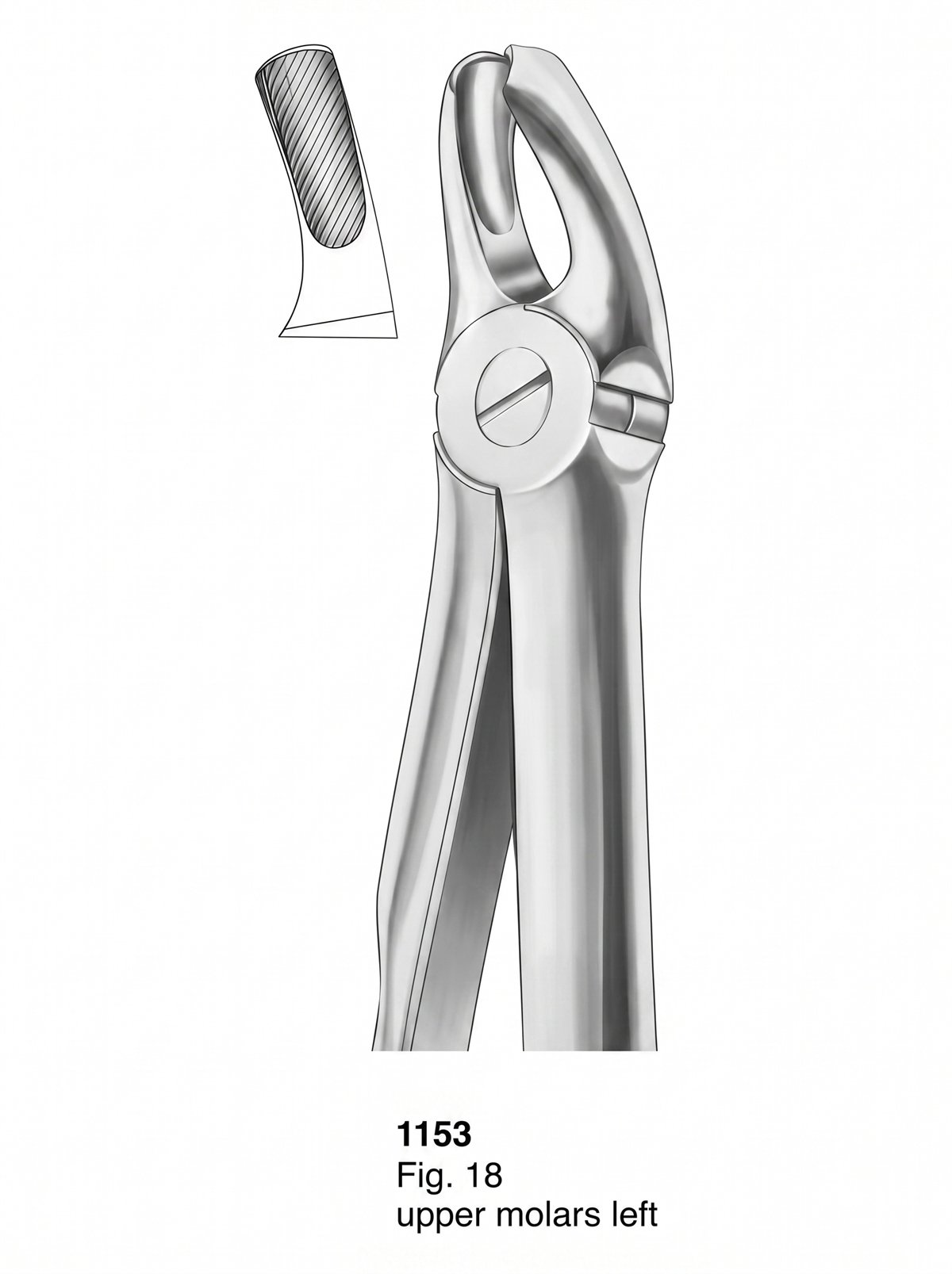 Sirgikal Extracting Forceps With Fitting Handle