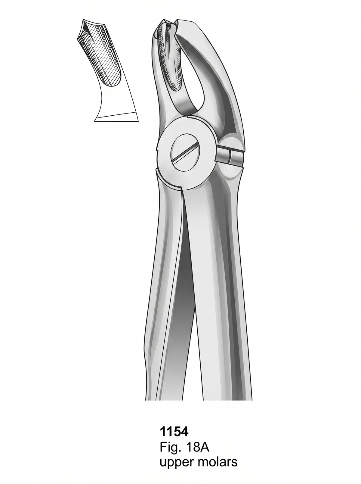 Sirgikal Extracting Forceps With Fitting Handle
