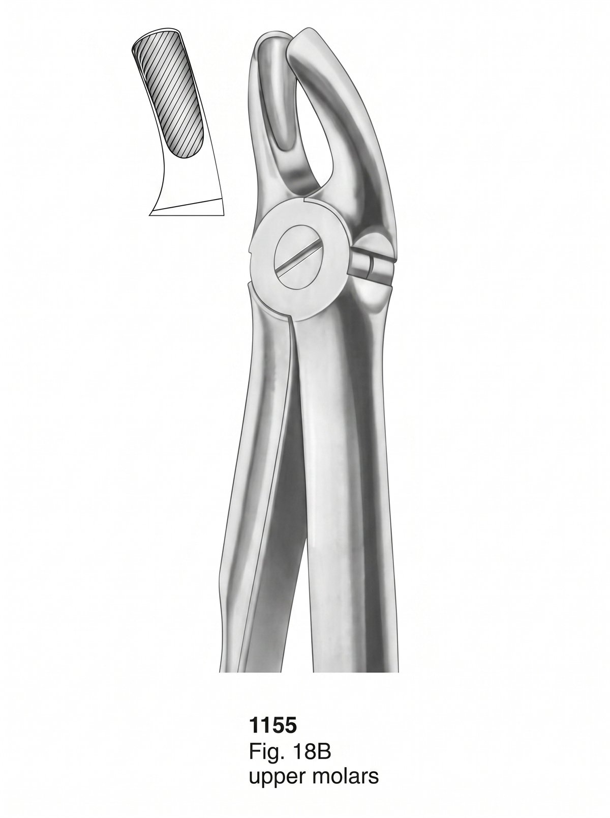 Sirgikal Extracting Forceps With Fitting Handle