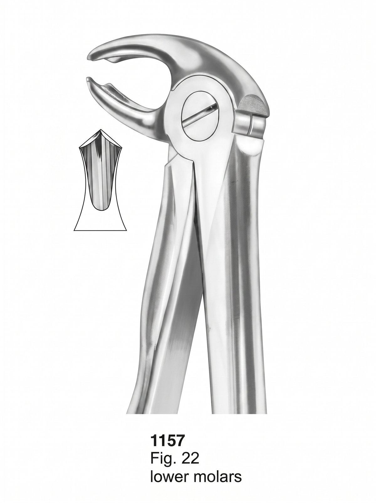 Sirgikal Extracting Forceps With Fitting Handle