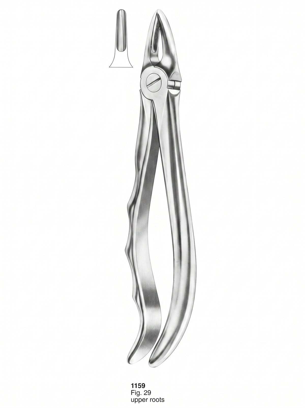 Sirgikal Extracting Forceps With Fitting Handle