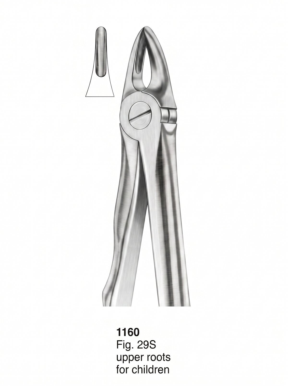 Sirgikal Extracting Forceps With Fitting Handle