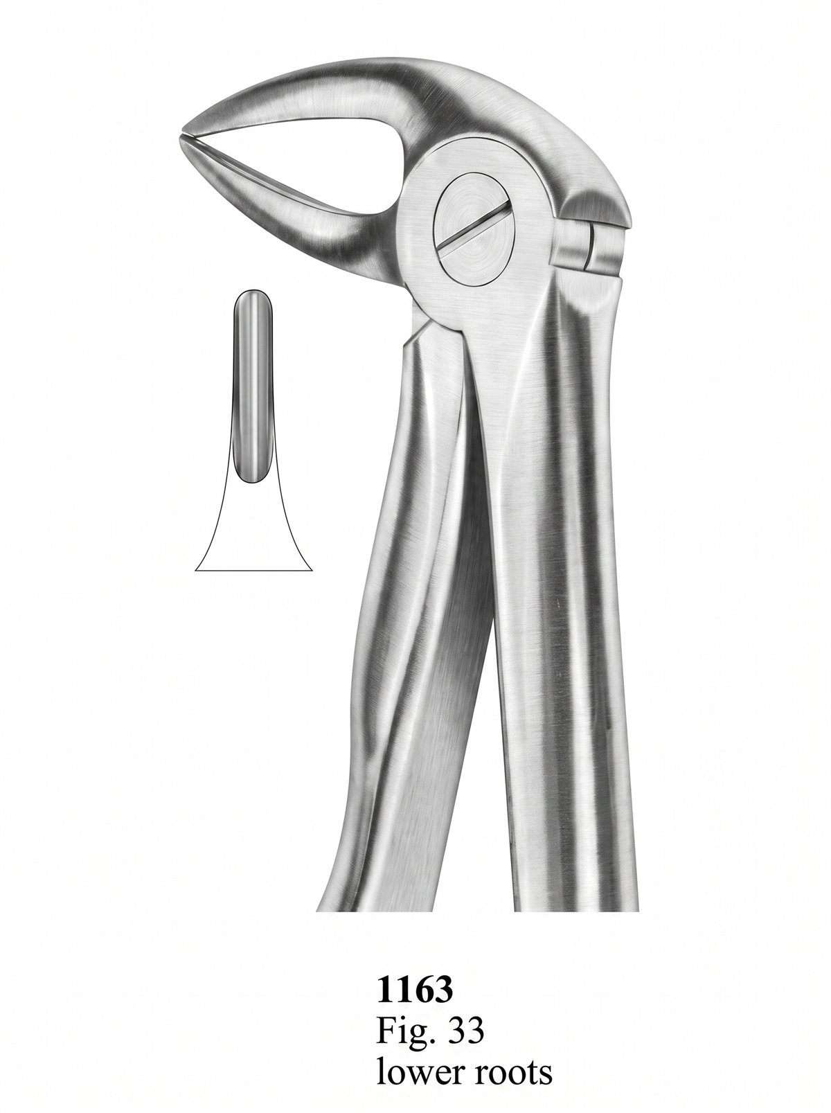 Sirgikal Extracting Forceps With Fitting Handle