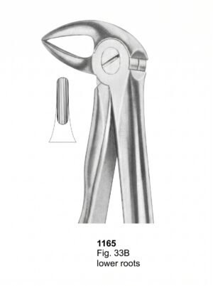 Sirgikal Extracting Forceps With Fitting Handle