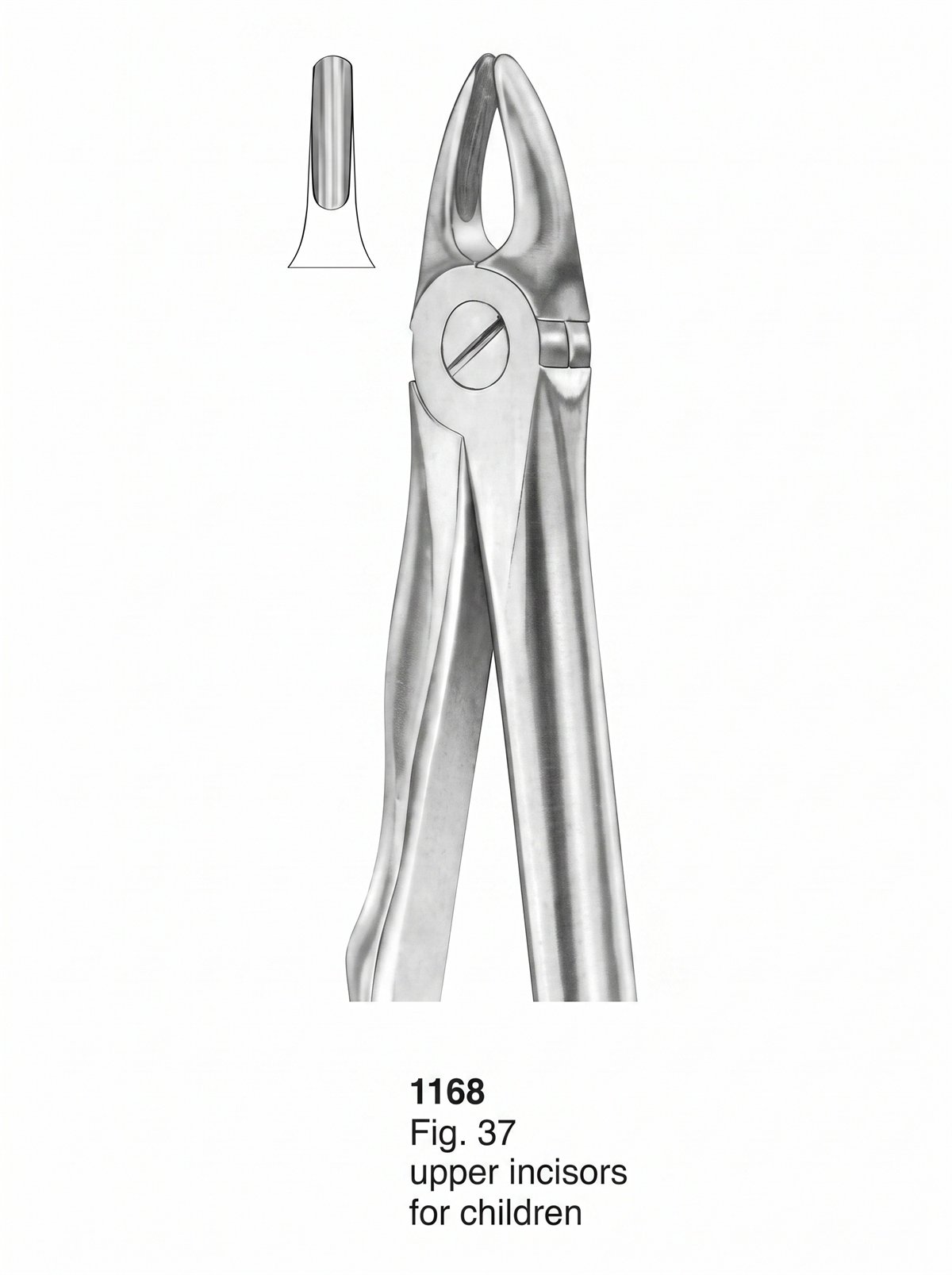 Sirgikal Extracting Forceps With Fitting Handle