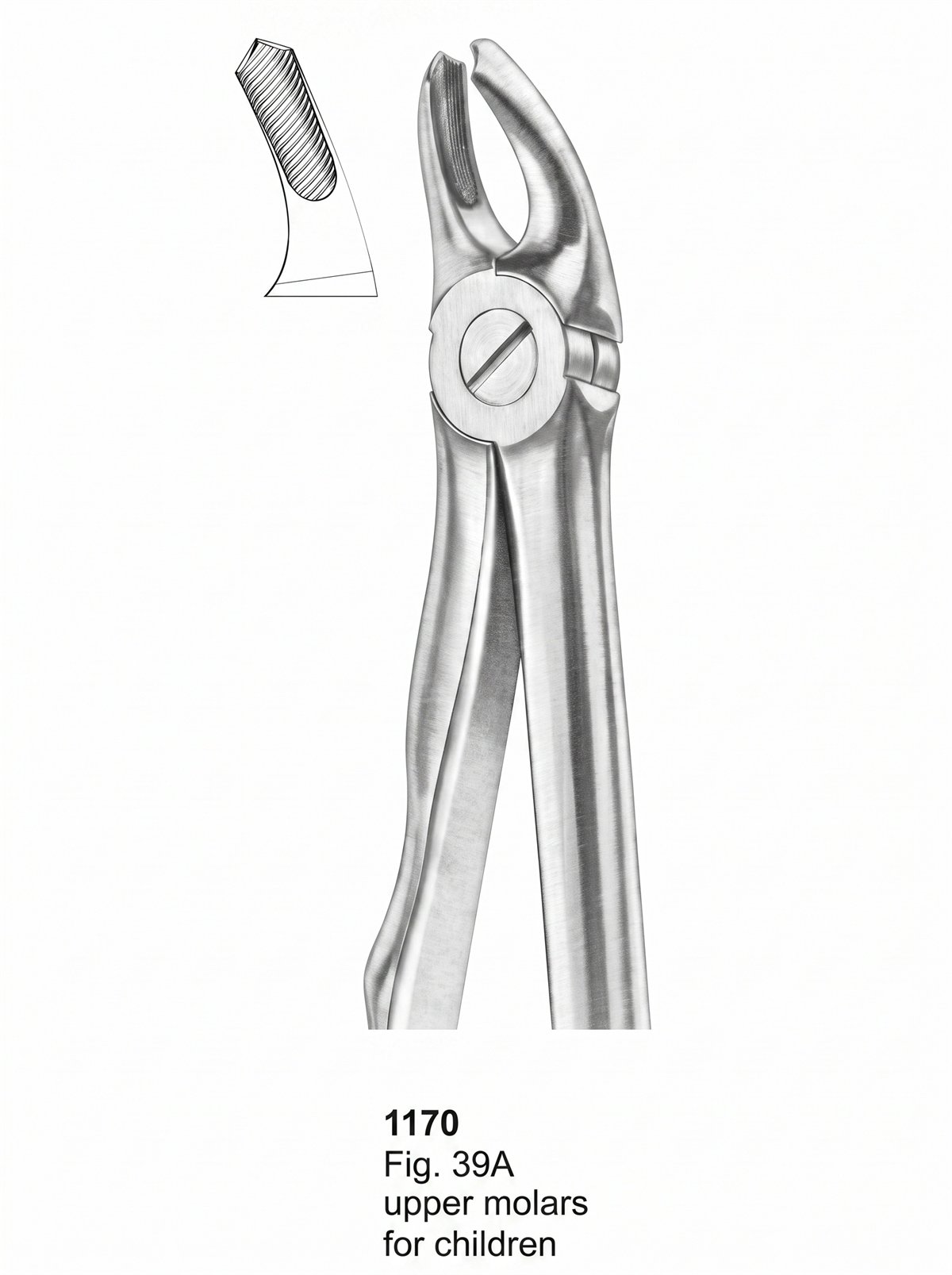 Sirgikal Extracting Forceps With Fitting Handle