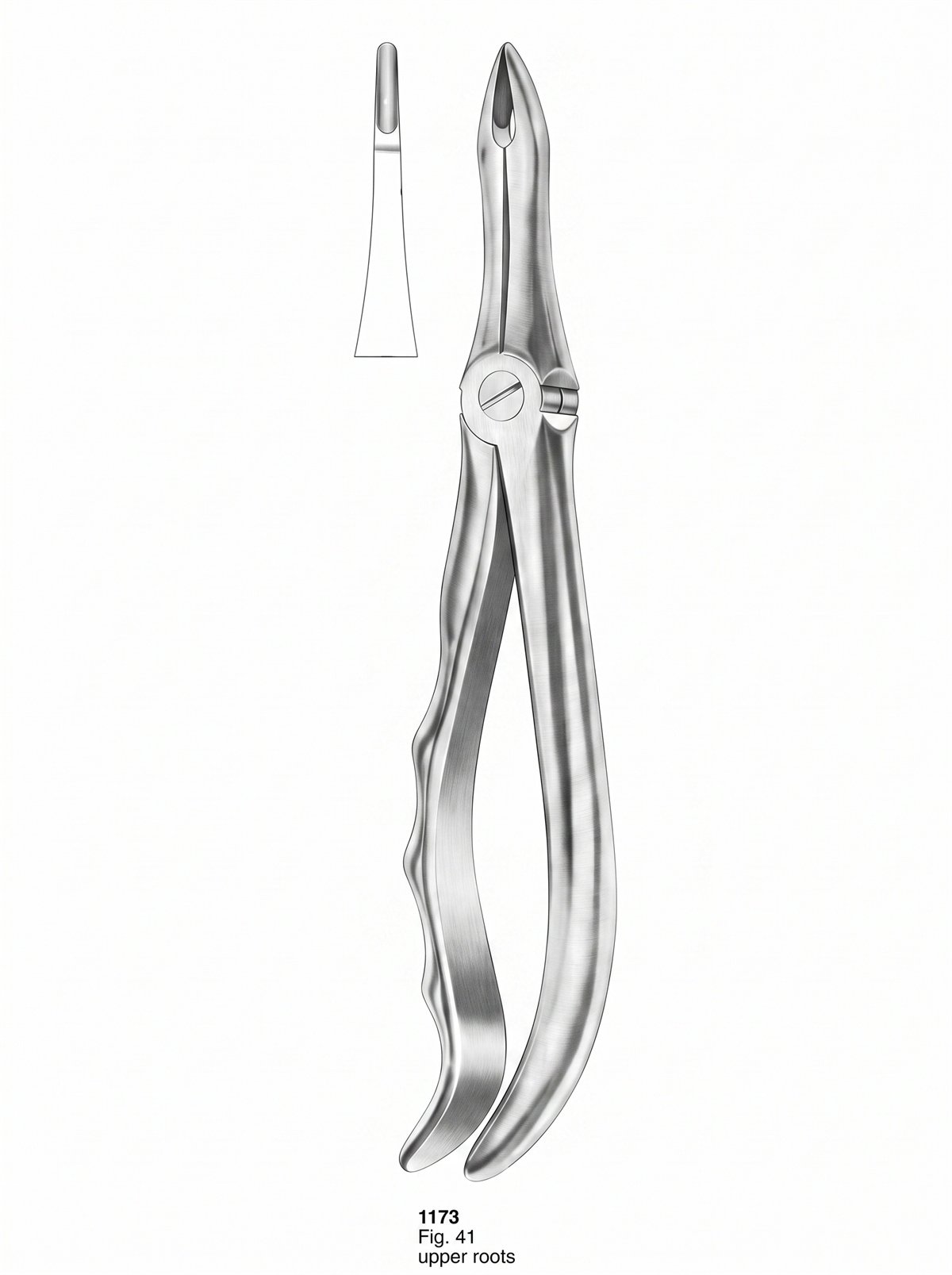 Sirgikal Extracting Forceps With Fitting Handle