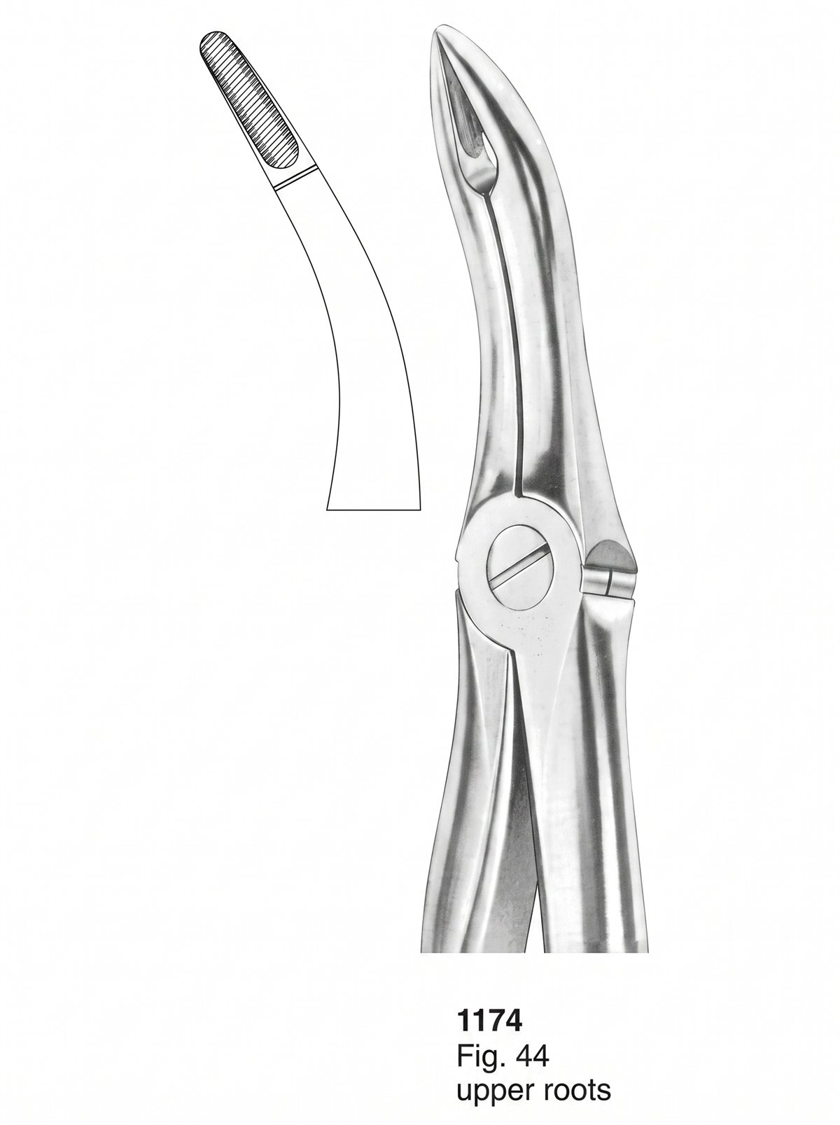 Sirgikal Extracting Forceps With Fitting Handle