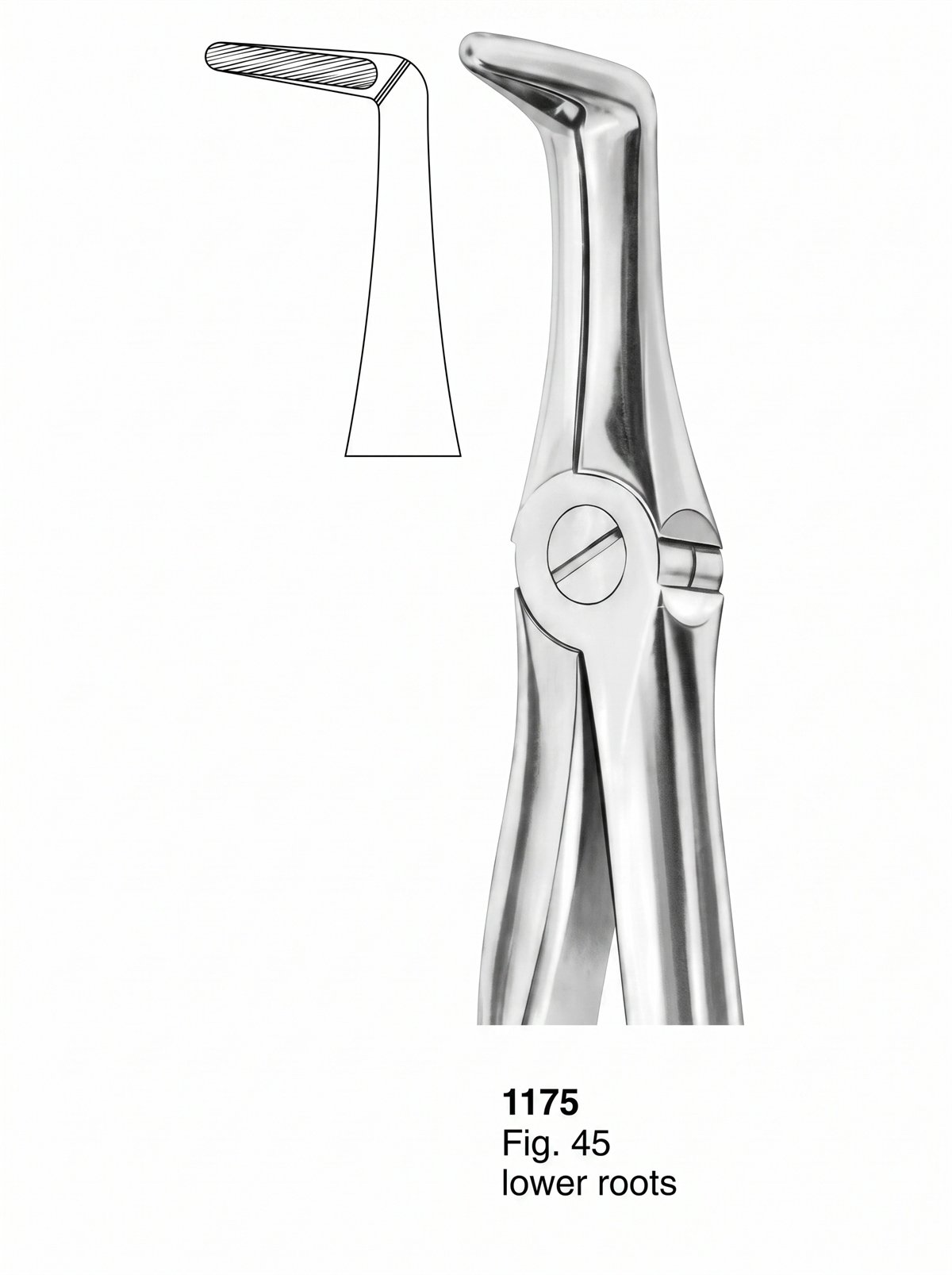 Sirgikal Extracting Forceps With Fitting Handle