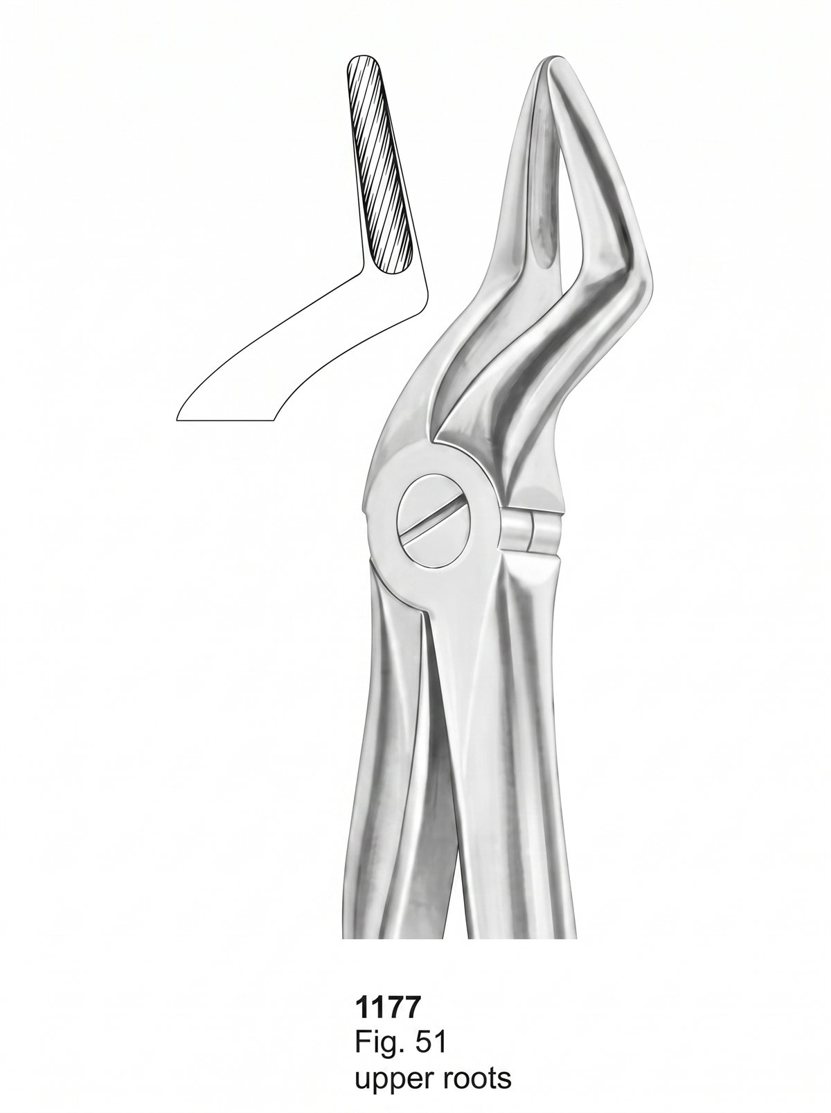 Sirgikal Extracting Forceps With Fitting Handle