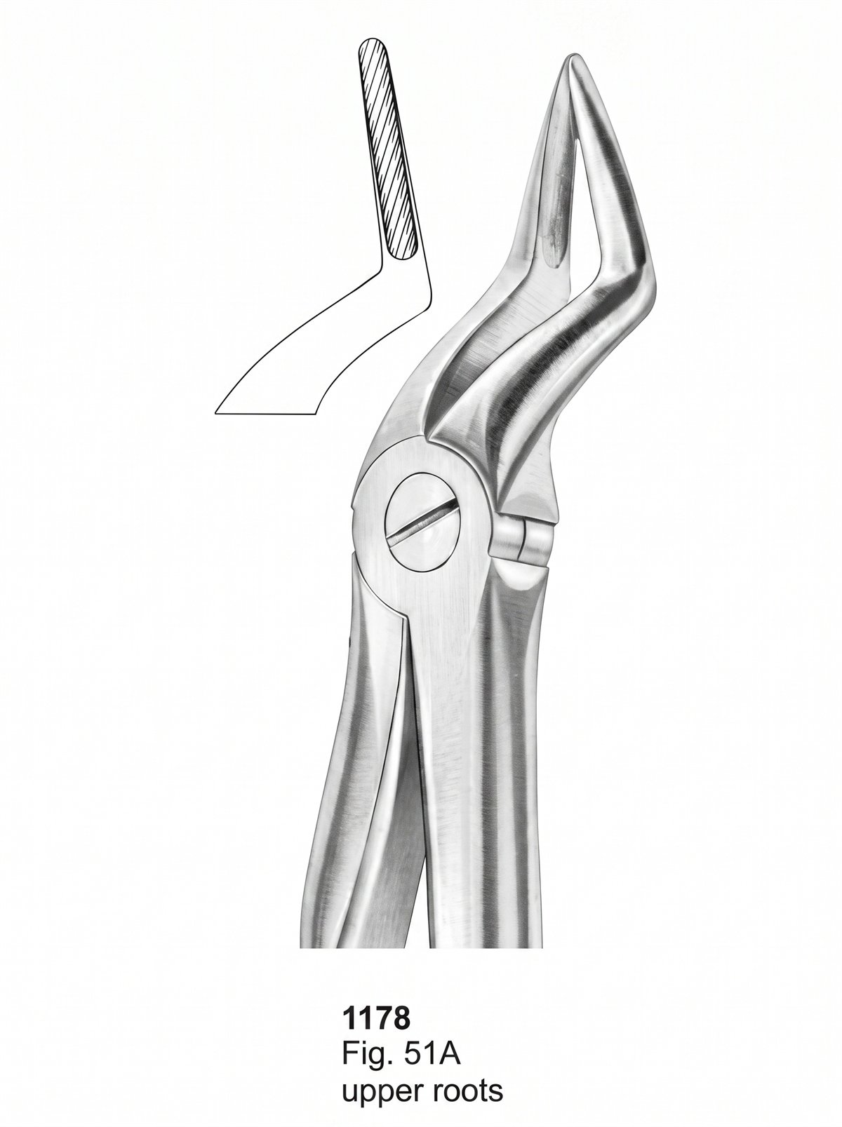 Sirgikal Extracting Forceps With Fitting Handle