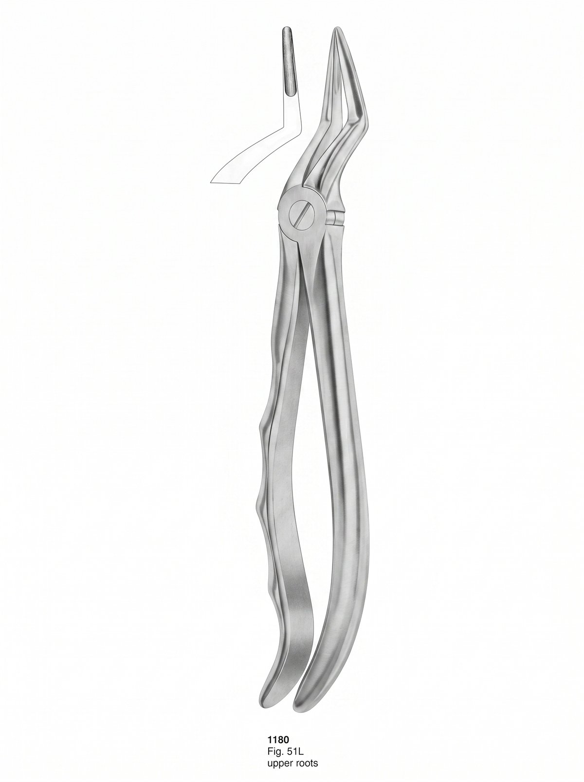 Sirgikal Extracting Forceps With Fitting Handle