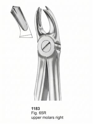 Sirgikal Extracting Forceps With Fitting Handle