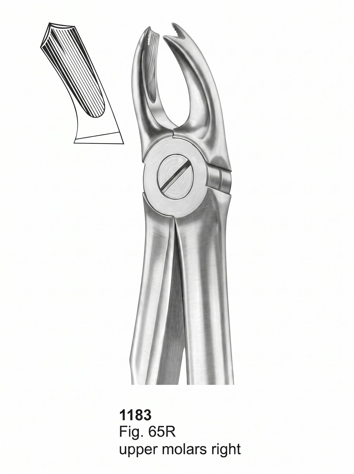Sirgikal Extracting Forceps With Fitting Handle