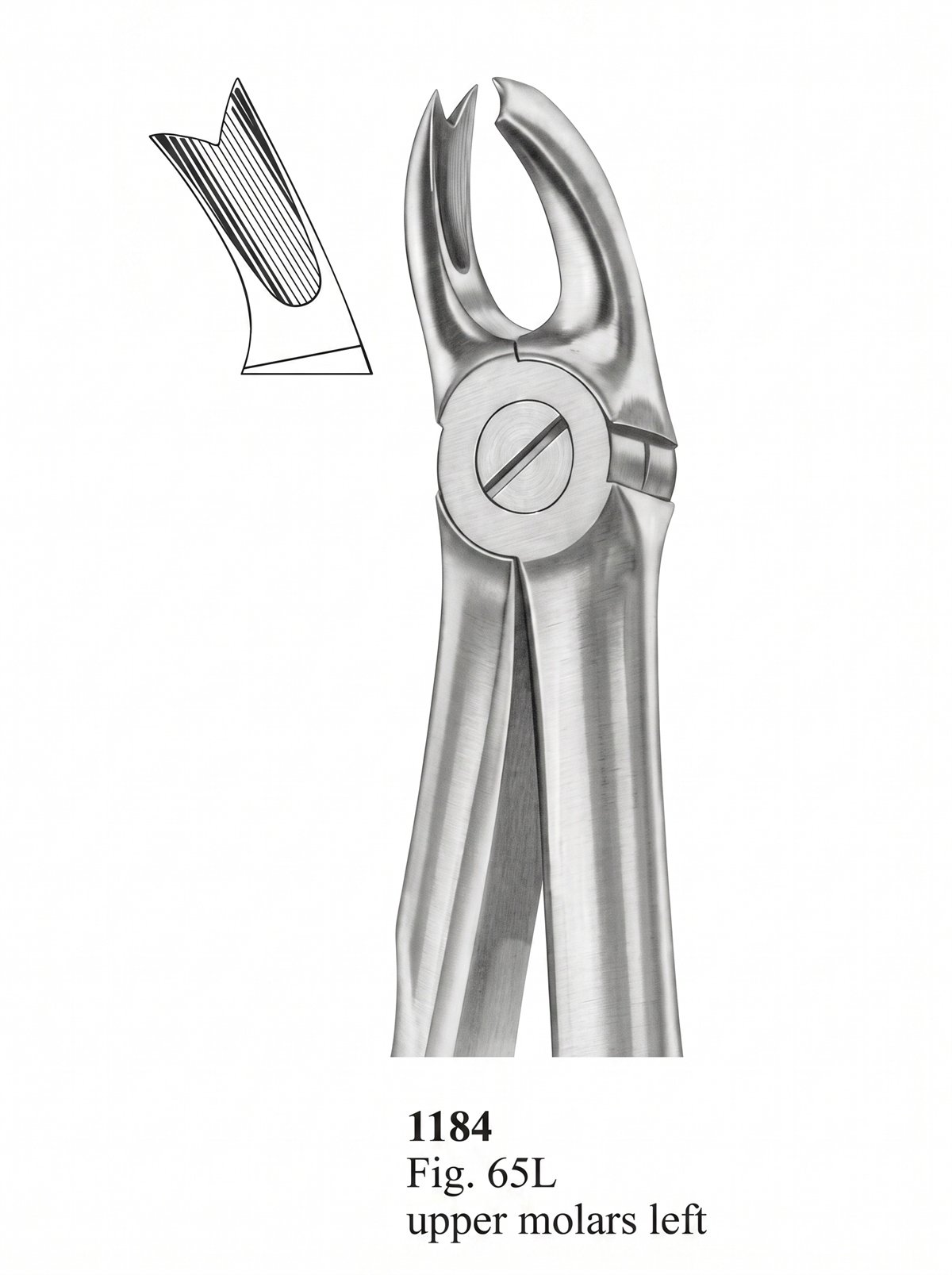 Sirgikal Extracting Forceps With Fitting Handle1