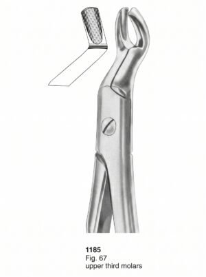 Sirgikal Extracting Forceps With Fitting Handle1