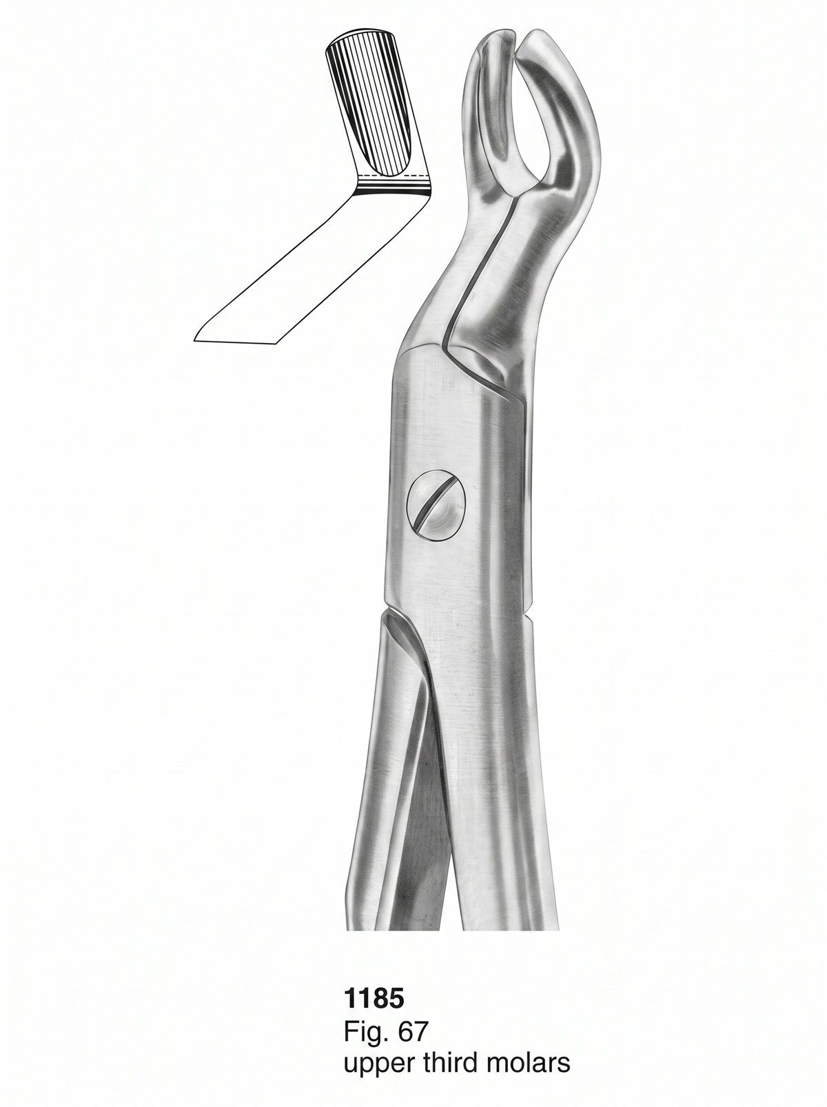 Sirgikal Extracting Forceps With Fitting Handle1