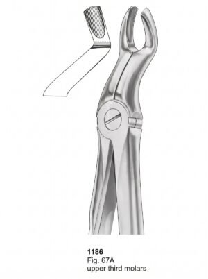 Sirgikal Extracting Forceps With Fitting Handle1