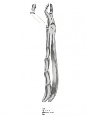 Sirgikal Extracting Forceps With Fitting Handle1