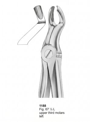 Sirgikal Extracting Forceps With Fitting Handle1