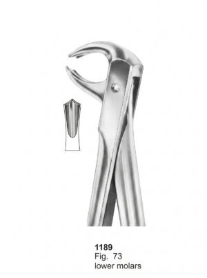 Sirgikal Extracting Forceps With Fitting Handle1