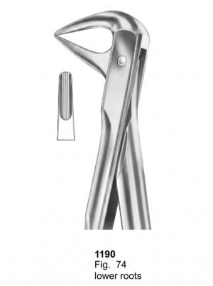Sirgikal Extracting Forceps With Fitting Handle1