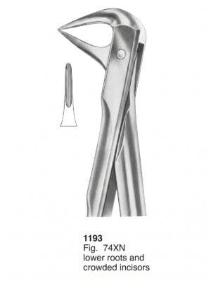 Sirgikal Extracting Forceps With Fitting Handle1