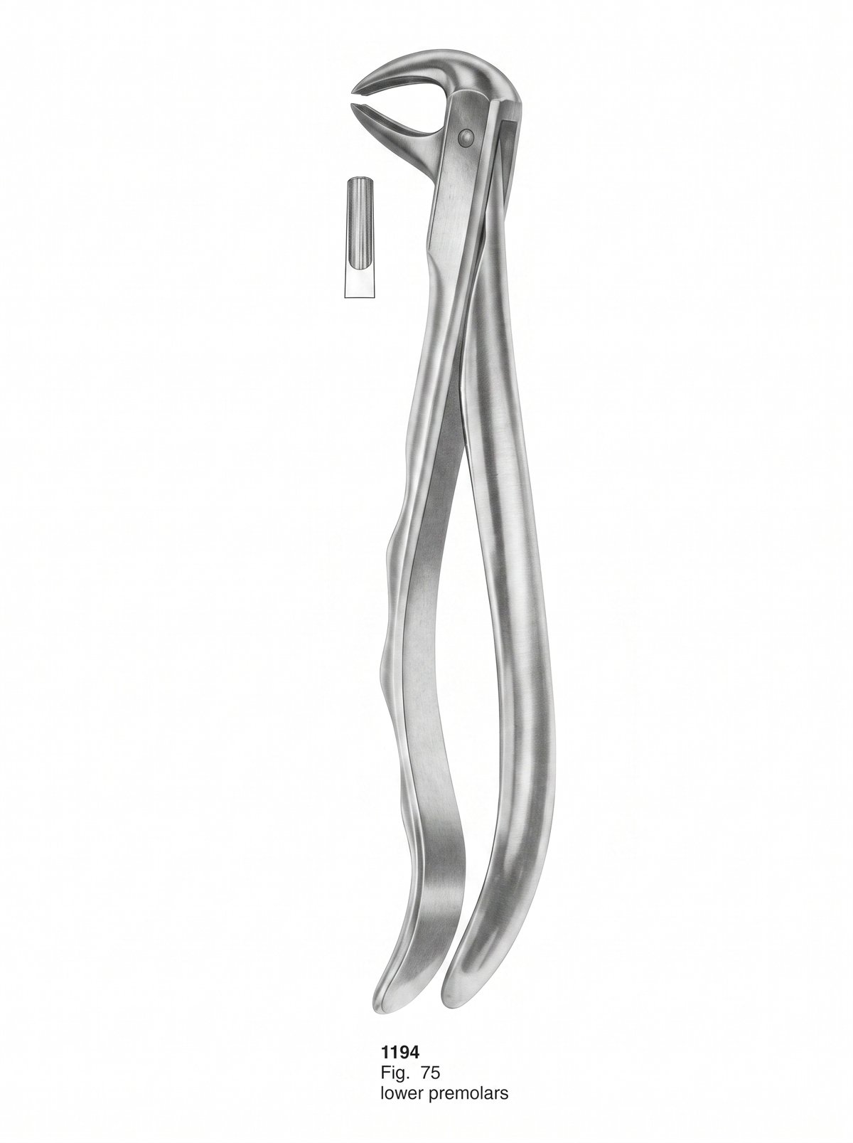 Sirgikal Extracting Forceps With Fitting Handle1