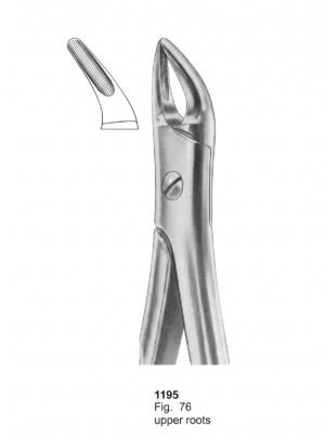 Sirgikal Extracting Forceps With Fitting Handle1