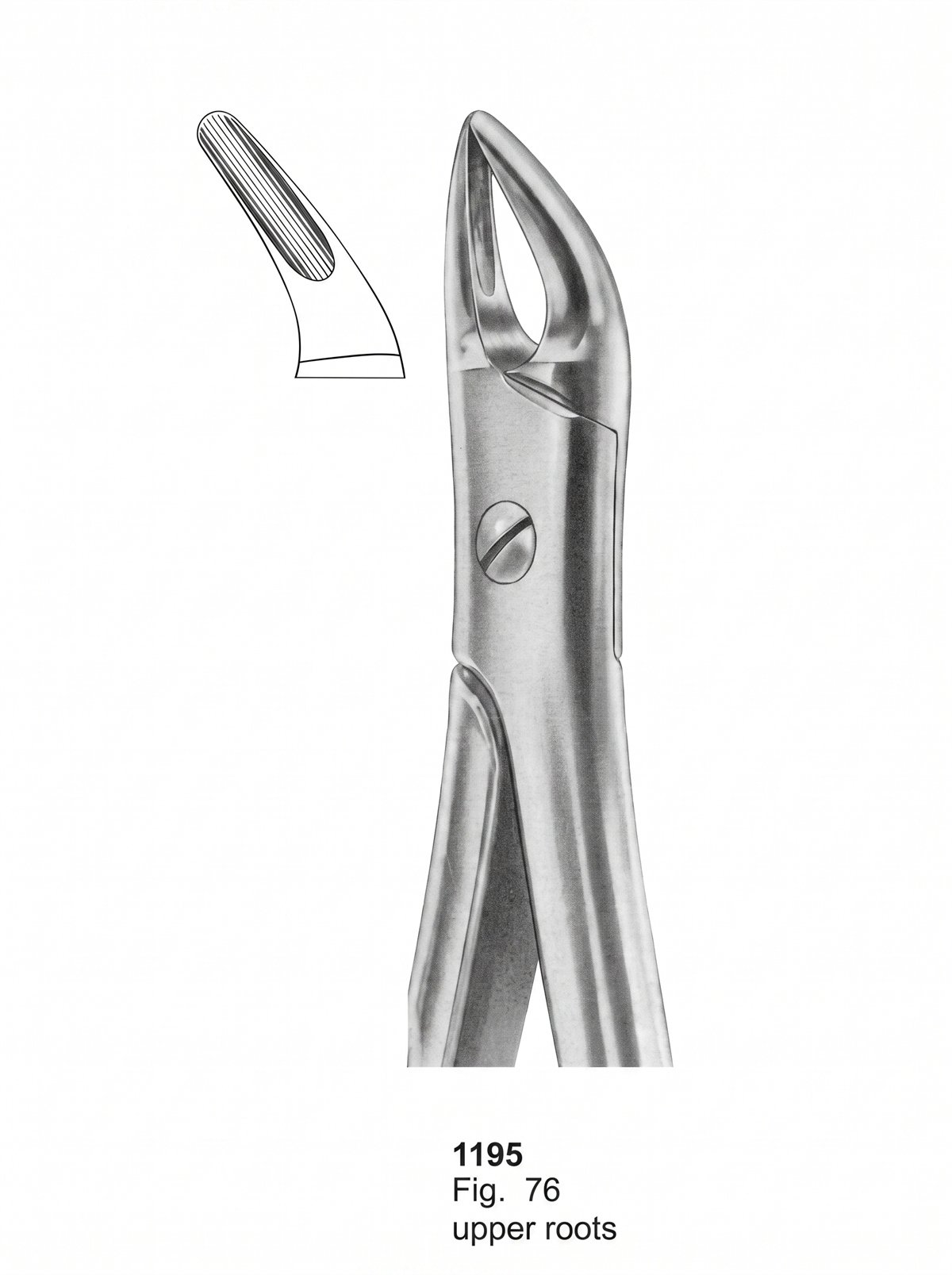 Sirgikal Extracting Forceps With Fitting Handle1