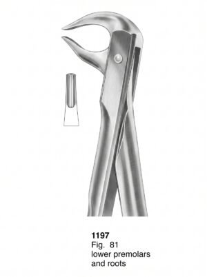 Sirgikal Extracting Forceps With Fitting Handle1