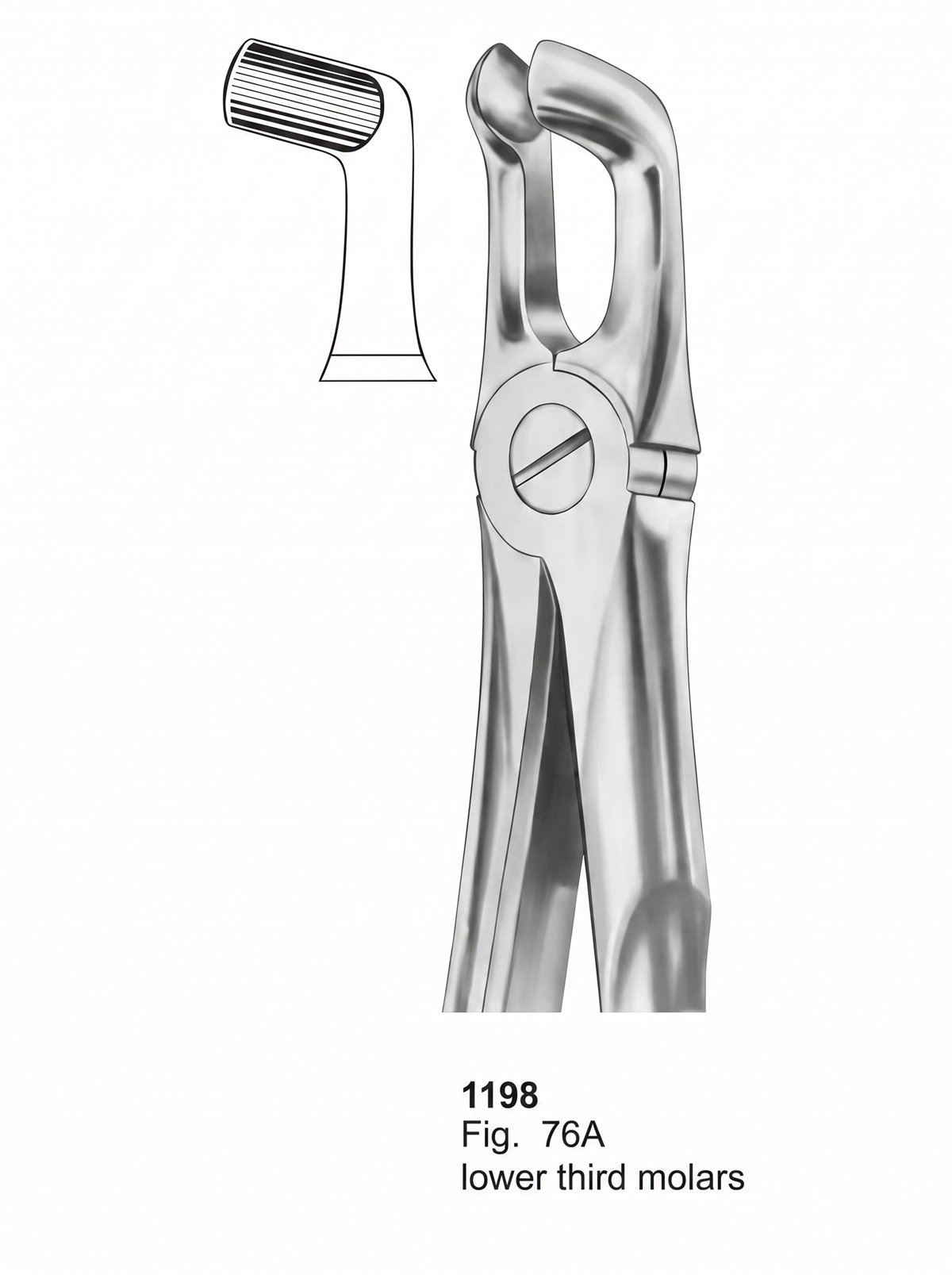 Sirgikal Extracting Forceps With Fitting Handle1