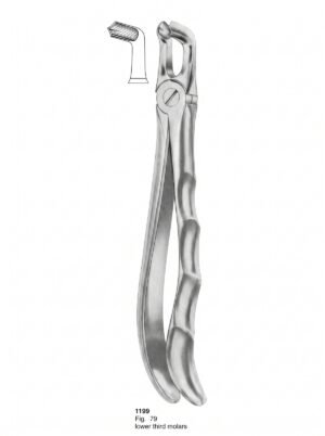 Sirgikal Extracting Forceps With Fitting Handle1