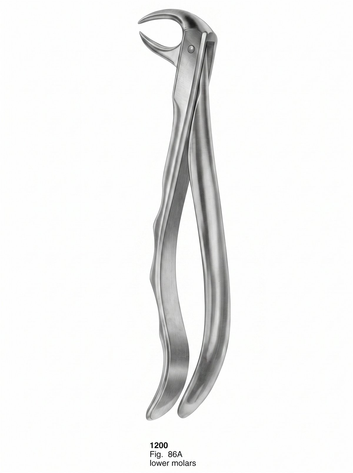 Sirgikal Extracting Forceps With Fitting Handle1