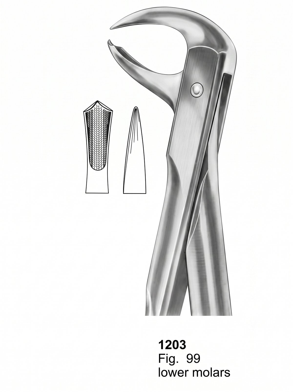 Sirgikal Extracting Forceps With Fitting Handle1