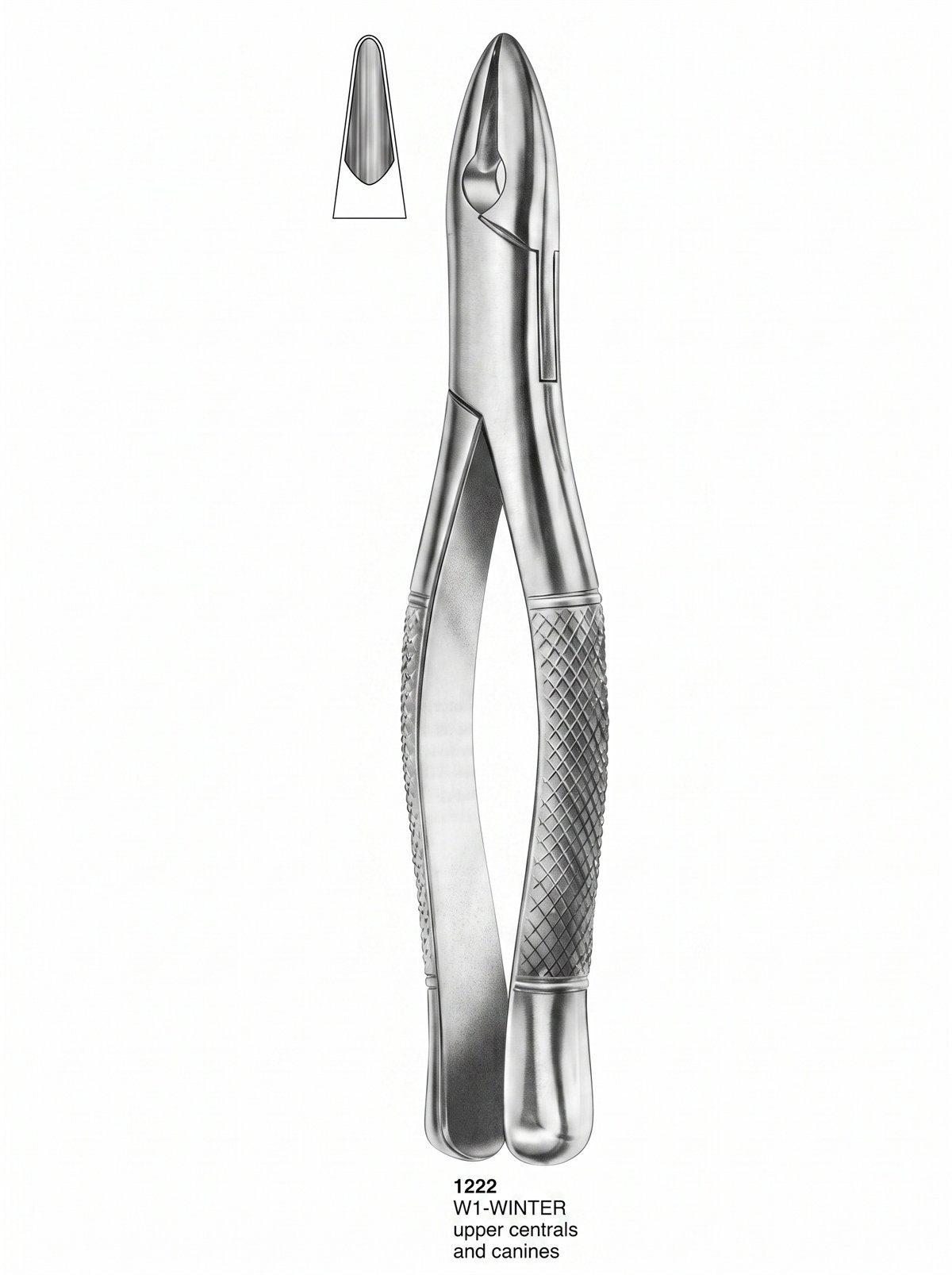 Sirgikal Extracting forceps American Pattern