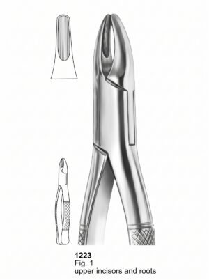 Sirgikal Extracting forceps American Pattern