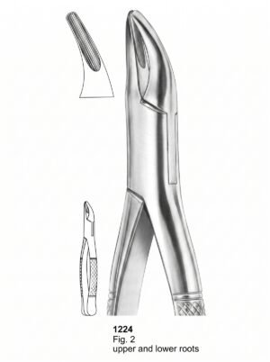 Sirgikal Extracting forceps American Pattern