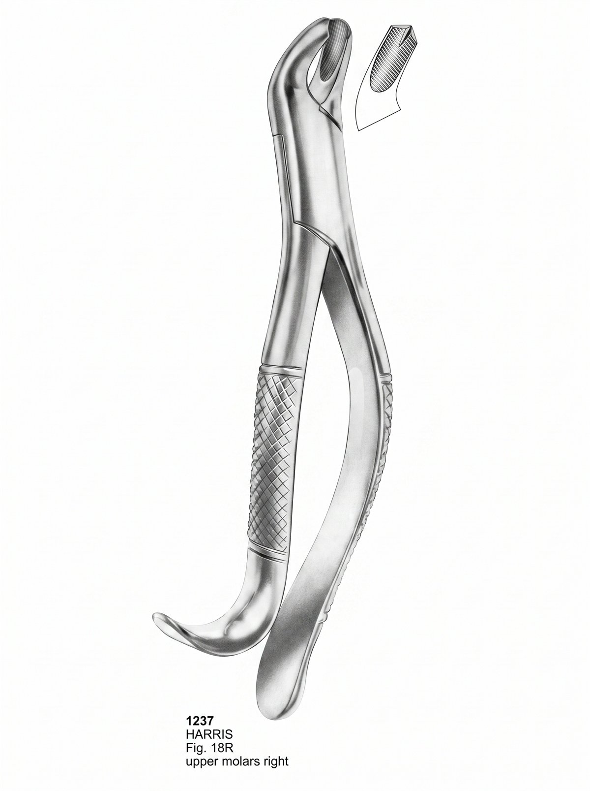 Sirgikal Extracting forceps American Pattern