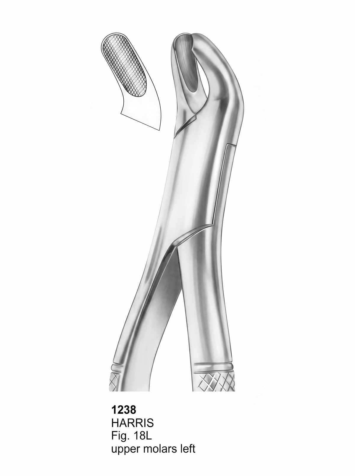 Sirgikal Extracting forceps American Pattern