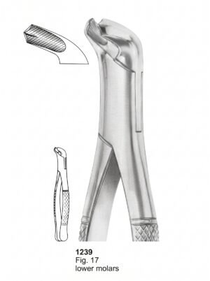 Sirgikal Extracting forceps American Pattern