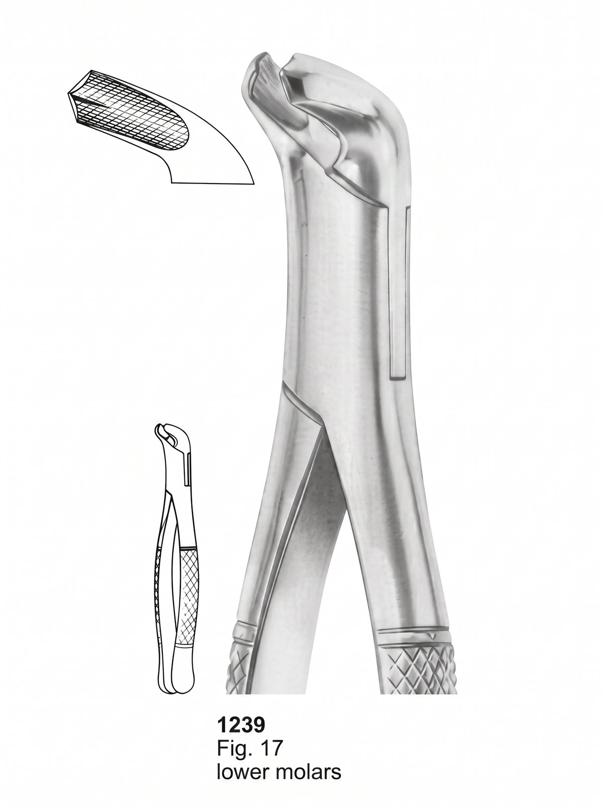 Sirgikal Extracting forceps American Pattern